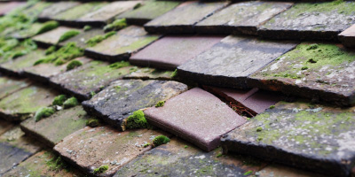 Littlemore roof repair costs